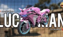 精英车皮最新爆料,揭秘豪华车界神秘面纱